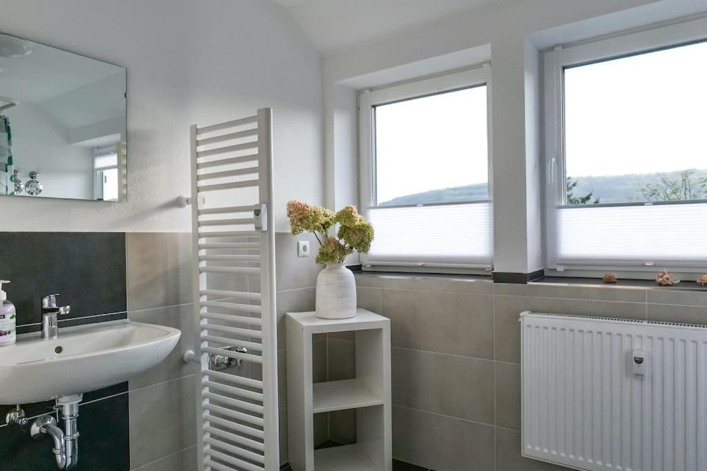 Apartment Wunderschoene Mit Balkon In Aue