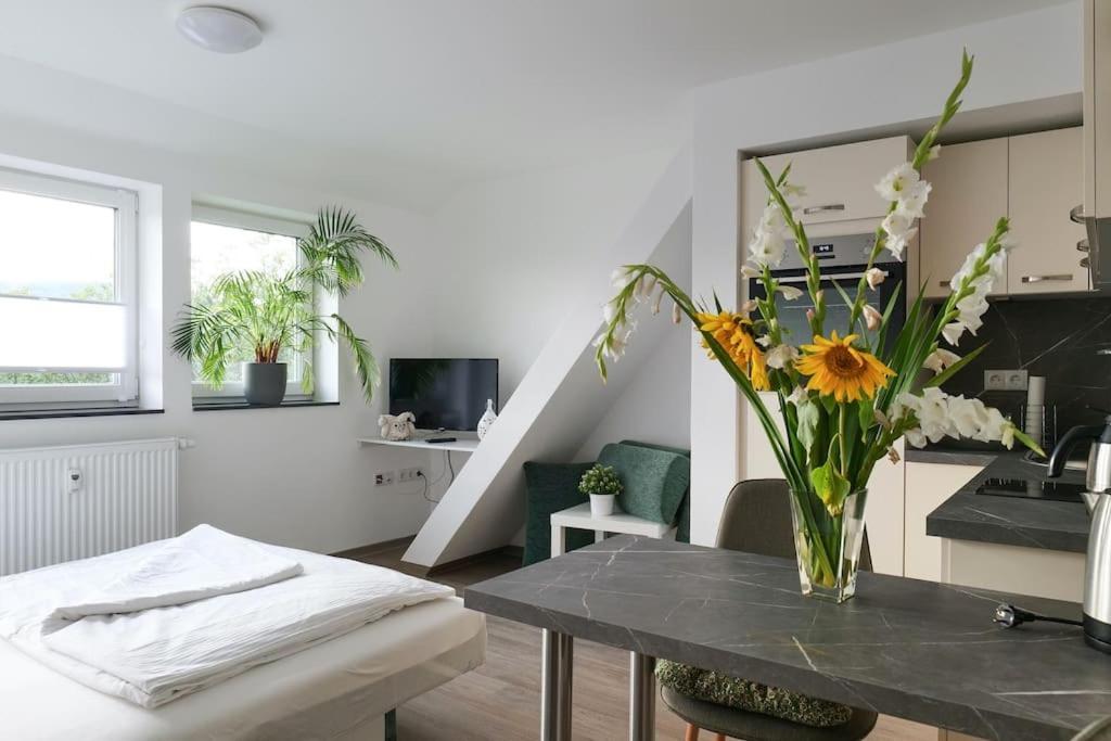 Apartment Wunderschoene Mit Balkon In Aue Aue (Saxony)