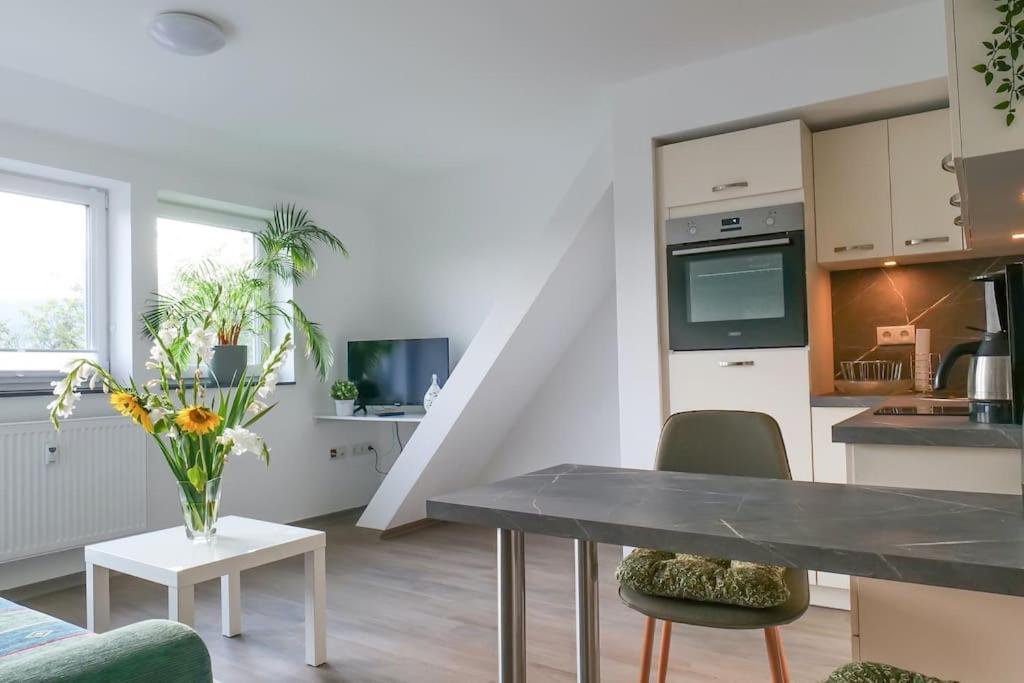Apartment Wunderschoene Mit Balkon In Aue *